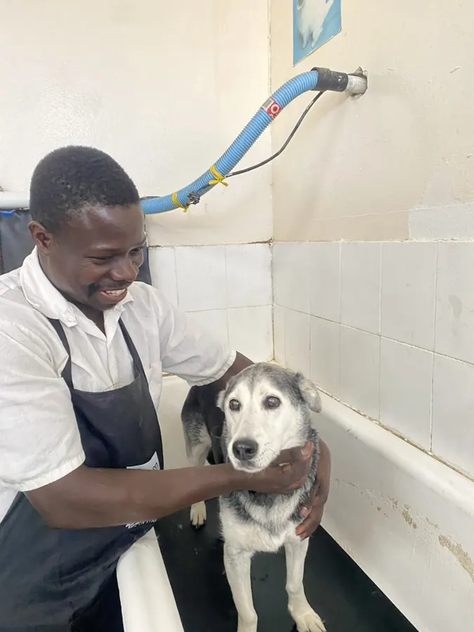 A Paws groomer giving a happy dog a gentle wash